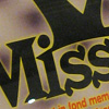 V Miss You